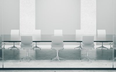 Shareholders Rights & Directors’ Liabilities